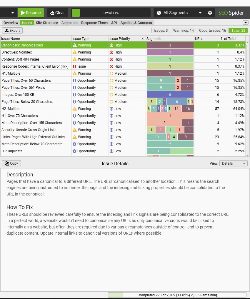 Issues tab with segments