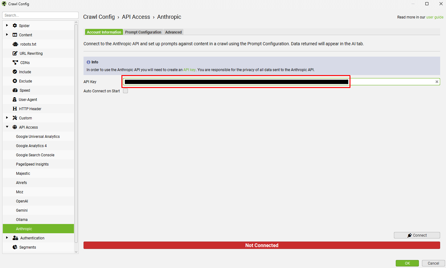 Anthropic API Key