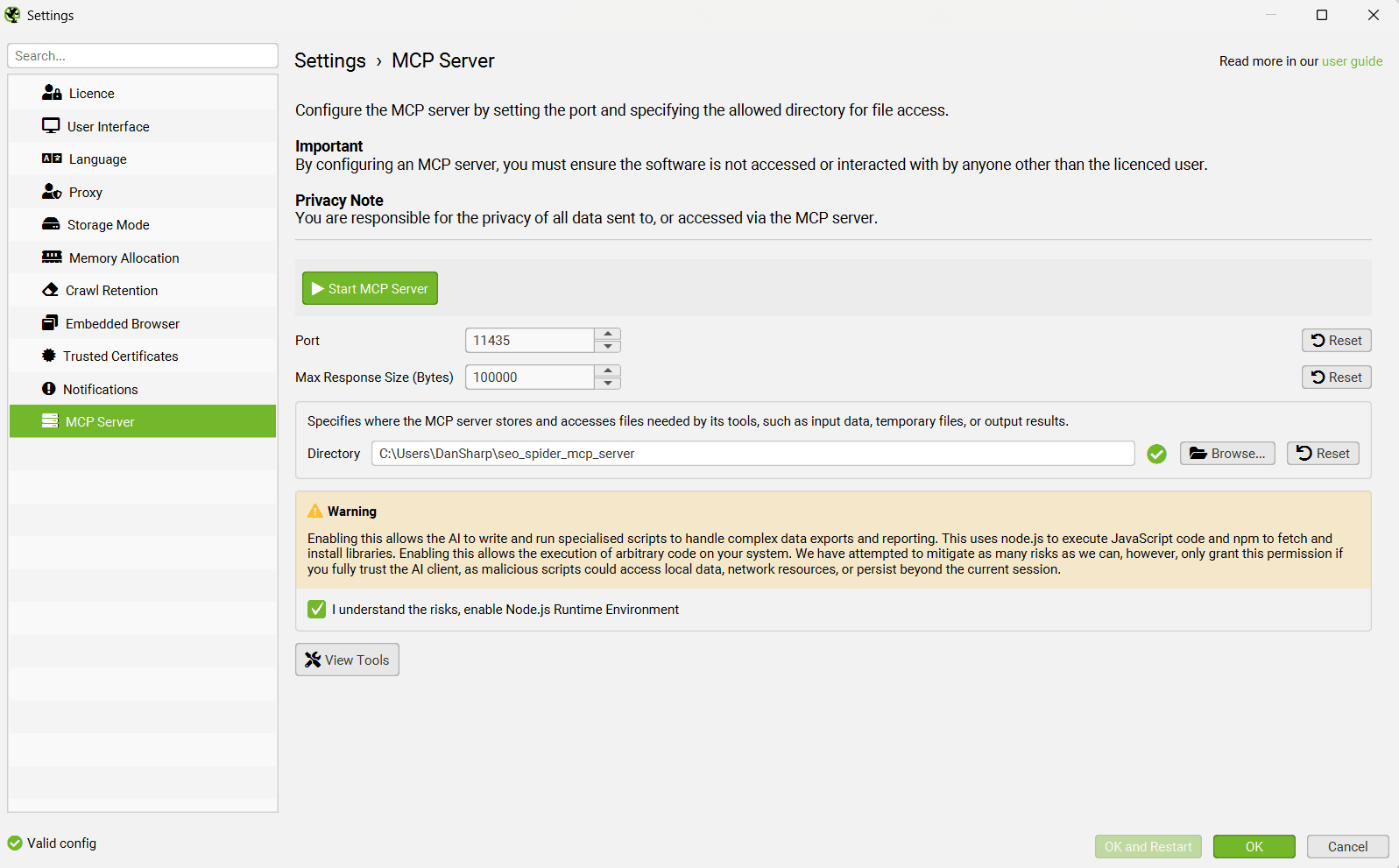 MCP Server
